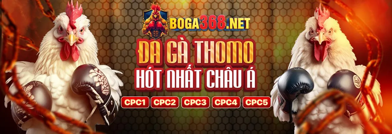 Đá Gà Trực Tuyến 88win